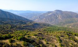 Karabük'te yangınların kontrol altına alındığı bölgelerde söndürme ve soğutma çalışmaları yapılıyor