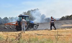 Kırklareli'nde anızda çıkıp ağaçlık alana sıçrayan yangın söndürüldü