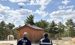 Kırşehir'deki ormanlık alanlar yangınlara karşı dronla denetleniyor