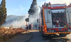 Kocaeli'de ormanlık alanda çıkan yangına müdahale ediliyor