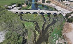 Kuraklığın etkilediği Tunca Nehri'nde su akışı durma noktasına geldi