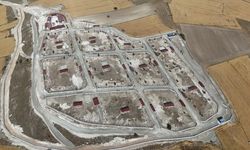 Kütahya'ya 10 bin sahipsiz hayvan kapasiteli merkez yapıldı