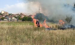 Malatya'da otluk alanda çıkan yangın söndürüldü
