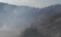 Malatya'nın Pütürge ve Doğanyol ilçelerindeki orman yangınlarına müdahale ediliyor