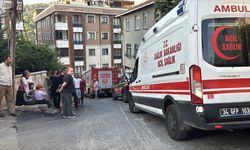 Maltepe'de kamyonetin çarptığı kadın öldü