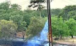 Manisa'da çıkan orman yangınına müdahale ediliyor