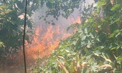 Mersin'de bahçede başlayıp ormanlık alana sıçrayan yangın kontrol altına alındı