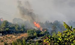 Mersin'in Silifke ilçesinde çıkan orman yangınına müdahale ediliyor