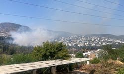 Muğla'da dört noktada çıkan yangınlar kontrol altına alındı