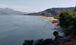 Muğla'daki İztuzu Sahili'nde 350 caretta caretta yavrusu denizle buluştu