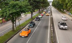 Ordu'da '17. Vosvos Şenliği' başladı