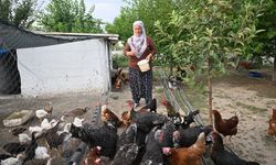 Osimhen'in dönüşü Kayserili Neslihan teyzeyi çok sevindirdi
