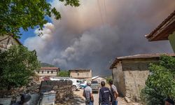 Sakarya'da ormanlık alanda çıkan yangın Bilecik tarafına sıçradı