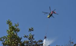 Sakarya'da ormanlık alanda çıkan yangın kontrol altına alındı