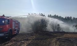 Samsun'da ekili arazide çıkan yangında 40 dönüm alan zarar gördü