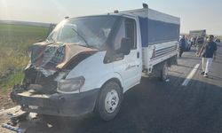 Şanlıurfa'da tarım işçilerini taşıyan kamyonetler çarpıştı, 11 kişi yaralandı