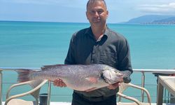 Sinop'ta 6,5 kilogramlık beyaz kötek balığı avlandı