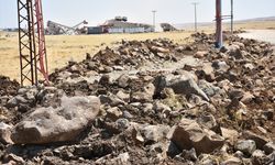 Şırnak'ta atıl araziler tarıma kazandırılıyor, toplanan taşlarla köy yolları asfaltlanıyor