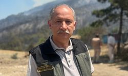 Tarım ve Orman Bakan Yardımcısı Polat, Sakarya'daki orman yangınına ilişkin konuştu: