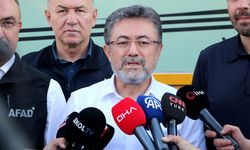 Tarım ve Orman Bakanı Yumaklı Tekirdağ'da yangın bölgesinde açıklama yaptı: