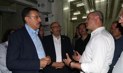 TBMM Zirai Don Olayını Araştırma Komisyonu üyeleri, Eskişehir'deki kiraz bahçelerini inceledi