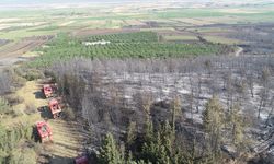 Tekirdağ'dan Çanakkale'ye sıçrayan yangında zarar gören alanlar dronla görüntülendi