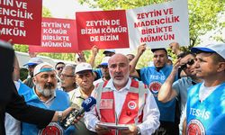 TES-İŞ ile Muğlalı işçilerden enerji ve maden düzenlemesine destek açıklaması
