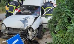 Tokat'ta hafif ticari araç ağaca çarptı, 4 kişi yaralandı