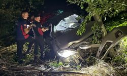Tokat'ta tarlaya devrilen otomobildeki 6 kişi yaralandı