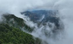 Trabzon'un 'Hıdırnebi Yaylası' sis altındaki güzelliğiyle ziyaretçilerini karşılıyor