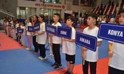 Türkiye Karate Premier Ligi'nin 4. ayağı Muş'ta başladı