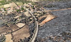 Uşak'ta çıkan orman yangınına müdahale sürüyor