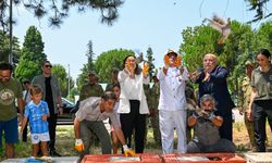 Yalova'da 300 keklik doğaya salındı