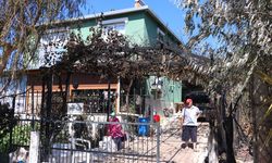 Yaşlı çiftin evi ve tavukları rüzgarın yön değiştirmesiyle yangından son anda kurtuldu