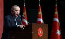 Üye ülkeleri Birleşmiş Milletler'i tekrar insanlığın umudu haline getirecek adımları ivedilikle atmaya davet ediyorum