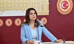 DEM Parti Grup Başkanvekili Koçyiğit: 'Çözüm istemeyen kesimlerin olduğu gerçeğini de iyi biliyoruz'