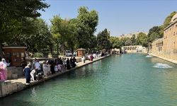 Şanlıurfa'da termometreler 49 dereceyi gösterdi