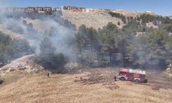 Adıyaman'da ormanlık alanda çıkan yangın söndürüldü
