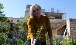 Afrinli aileler yıllar sonra evlerine dönmenin sevincini yaşıyor