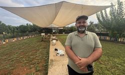 Antalya'da başına poşet geçen keçinin sürüsünü korkuttuğu anlar izleyenleri güldürdü