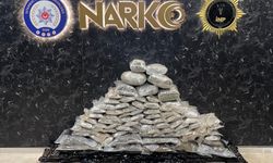 Avcılar'da uyuşturucu operasyonunda 1 zanlı yakalandı