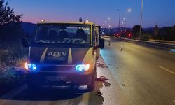 Aydın'da kamyonete arkadan çarpan motosikletin sürücüsü öldü