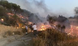 Aydın'da otoyoldaki kamyonda çıkıp ağaçlık alana sıçrayan yangın söndürüldü