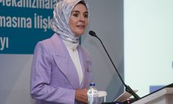 Bakan Göktaş, Roman vatandaşların hak arama farkındalığına yönelik çalıştayda konuştu: