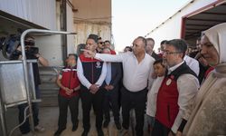 Bakan Yumaklı 'Güçlü Besi Güçlü Üretim Projesi'ni açıkladı: