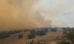 Balıkesir'de çıkan orman yangınına müdahale ediliyor