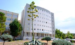 Balıkesir'de üniversite yerleşkesindeki Agave bitkisi 20 yıl sonra çiçeklendi