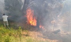 Balıkesir'in Erdek ilçesinde çıkan orman yangını kontrol altına alındı
