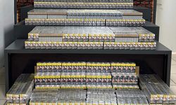Batman'da durdurulan tırda kaçak 7 bin 200 paket sigara ele geçirildi