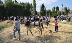 Bayburt'ta '6. Harman Festivali' başladı